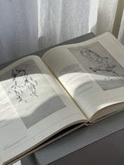 Cezanne’s Portrait Drawings