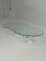 Lucite & Glass Organic Coffee Table