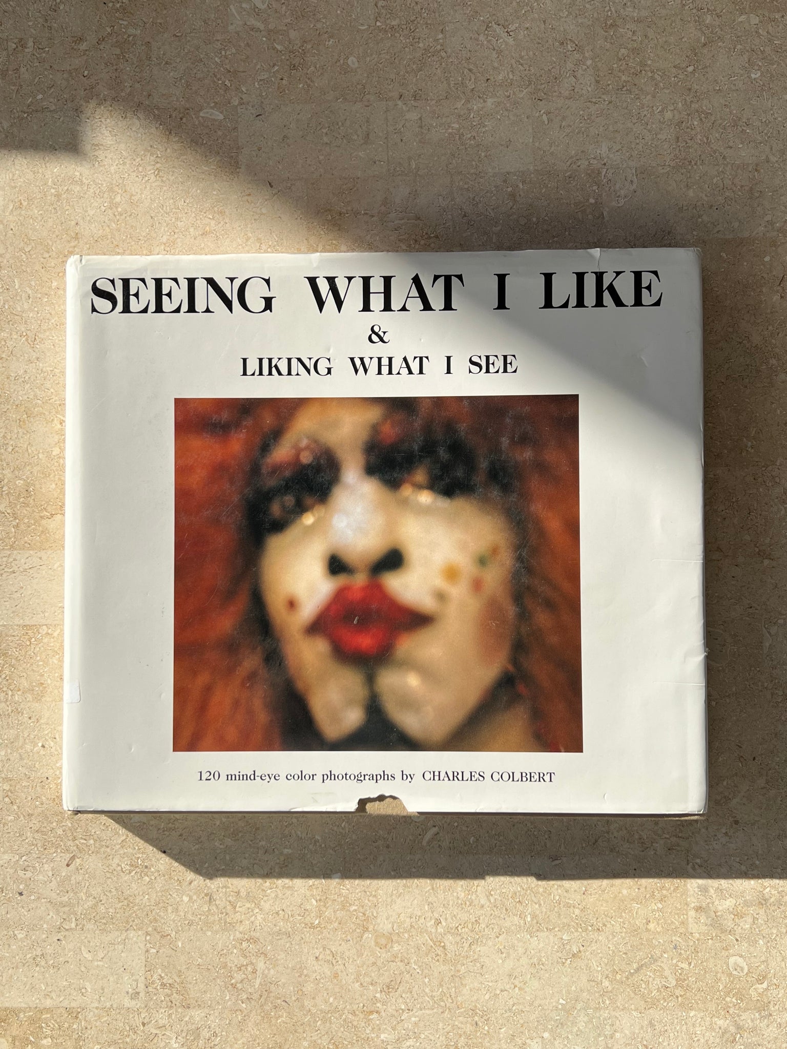 Seeing What I Like & Liking What I See, 1991