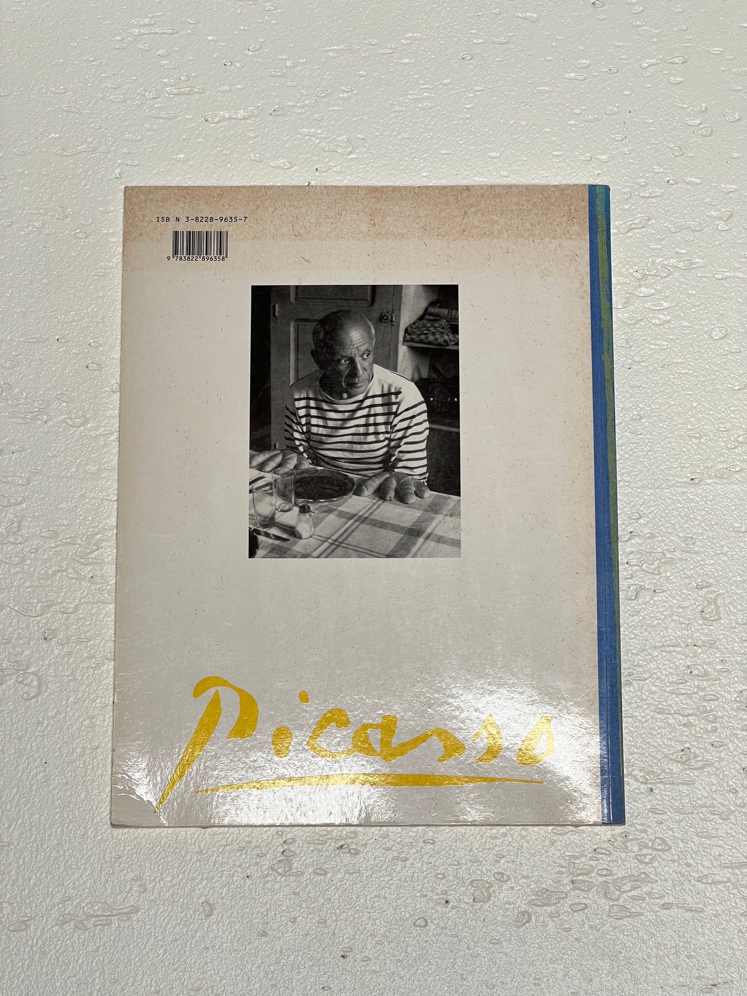 Picasso, 1992